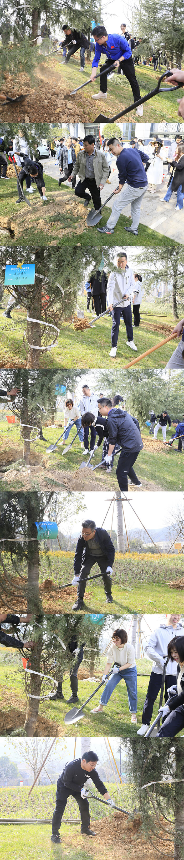 20230311董事植樹壓縮.jpg